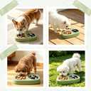 Slow Feeder Dog Bowls, Stainless Steel Water Bowl, Slow Eating Dog Bowls Breed Set, Slow Feeder Dog Puppy Bowls Anti-Choking for Medium Small Breed Size Dogs and Cats, Green