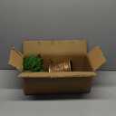 XmasExp 3ft Norfolk Pine Tree Artificial Faux Potted Real Touch Christmas Tree for Front Porch Indoor Outdoor Decor (Green)