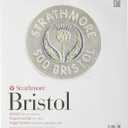 Strathmore (580-62 500 Series Bristol, 2-Ply Vellum Surface, 11"x14", White, 15 Sheets
