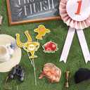 144PCS Kentucky Horse Derby Cupcake Toppers Decorations Horse Racing Appetizers Toothpicks Sticks