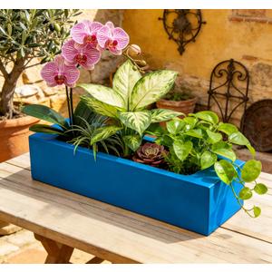 Versatile Oblong Faux Succulent Arrangement Rectangular Planter for Indoor/Outdoor Weatherproof, Easy-Move Cozy Nature Accent for Desks, Balconies & Entryways Blue