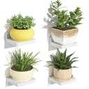 SRIWATANA Small Floating Shelves Wall Mounted, Wood Shelf for Decoration and Storage Set of 4, Mini Display Shelf for Bedroom, Bathroom, Kitchen, Office (White, 4 inch)