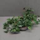 TNNTOPELE Hanging Plant Fake Plants with Pots, 1 Pack Artificial Plants, Faux Anthurium Leaf Basket for Wall Home Room Indoor Outdoor Decor