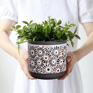 2 Piece Ceramic Plant Pots, 5.7/4.7/3.5/inch Planters with Drainage Hole, Outdoor Indoor Flower Pots Set, Modern Decorative Plant Pots for Lilies, Cacti, Succulents, Snakes, Bamboo(Grey) (Gray)