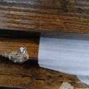 Over The Toilet Storage Cabinet,4 Tier Bathroom Organizers and Storage With Adjustable Shelf Waterproof Feet Pad and Basket ,Multifunctional Space Saver Freestanding Bathroom Shelves With Dividers (Brown)