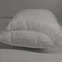 MIULEE 20 x 20 Pillow Inserts (Set of 2) - Throw Pillows Insert Premium Pillow Stuffer Square Form for Decorative Cushion Bed Couch Sofa