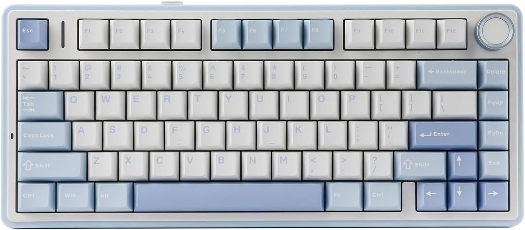 EPOMAKER x Aula F75 Gasket Mechanical Keyboard, 75% Wireless Hot Swappable Gaming Keyboard with Five-Layer Padding&Knob, Bluetooth/2.4GHz/USB-C, RGB (Sea Salt Blue, LEOBOG Reaper Switch)