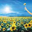 Thank You by Stone Temple Pilots