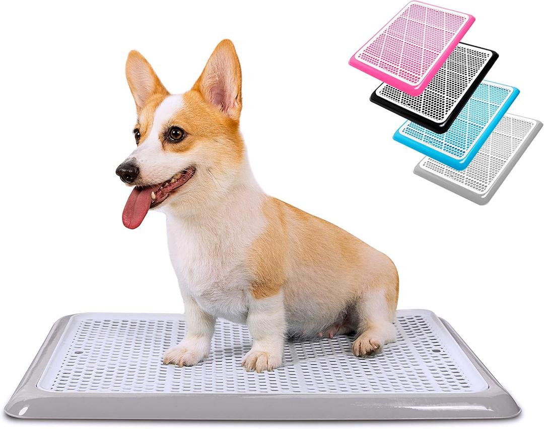 Pet Awesome Dog Potty Tray/Puppy Pee Pad Holder 25x20 Indoor Wee Training for Small and Medium Dogs (Grey)