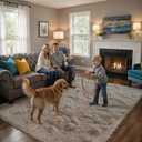 Fluffy Rug Shaggy Area Rug, Beige 2x4 Area Rugs for Bedroom, Small Bedside Rug, Soft Fluffy Shaggy Entryway Throw Rugs for Living Room Bedroom Kids Room Home Decor