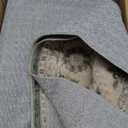 Vintage Living Room Area Rug 5x7 - Large Soft Washable Oriental Traditional Distressed Farmhouse Rugs for Bedroom - Indoor Floor Accent Carpet for Home Office House Decor - Vintage Green