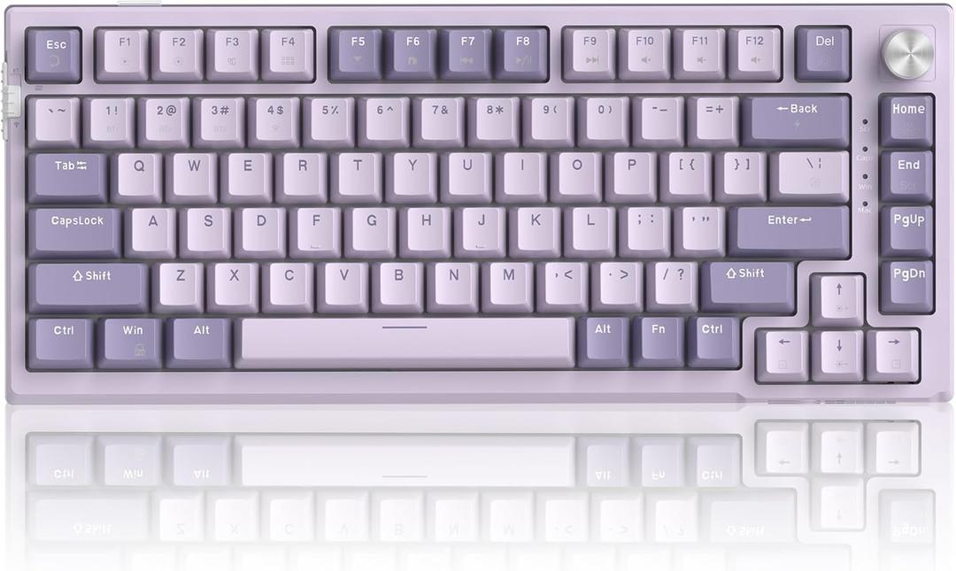 MageGee SKY81 75% Wireless Gasket Mechanical Gaming Keyboard, Hot Swappable RGB Custom Creamy Keyboard w/ 5-Layer Padding, BT/2.4G/USB-C, Knob Control, NKRO for Win/Mac (Dreamy Sky, Violet Switch)