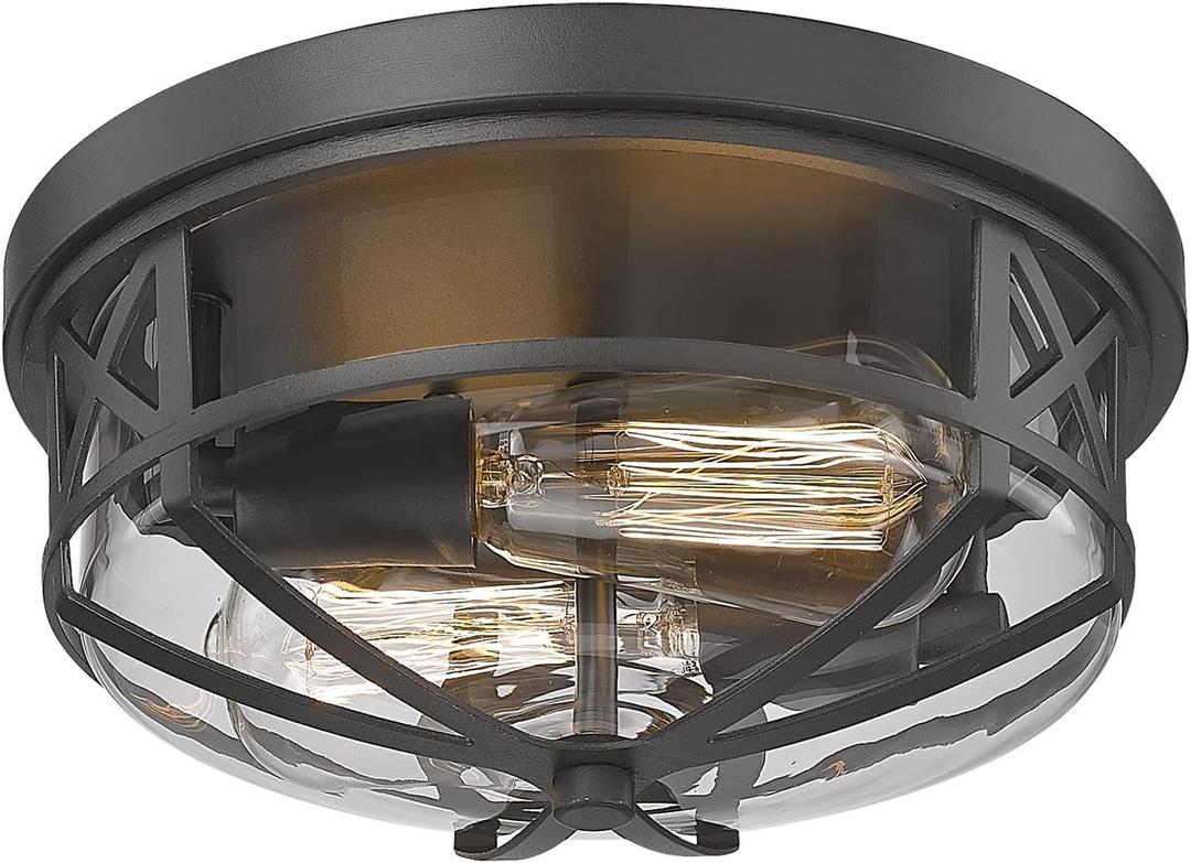 Darkaway Flush Mount Ceiling Light Fixtures Ceiling with Clear Glass Shade, Indoor Outdoor Ceiling Light for Hallway Entryway Bedroom Porch Kitchen 2-Light E26