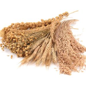 Hamster Organic Sprays Set = Wheat + Flax + Yellow Millet + Panicle Millet, Pet Habitat Bedding Decor, Natural Hamster Chews Accessories Supplies, for Gerbil, Mice, Guinea Pig, Chinchilla (4 Kinds of Grains)