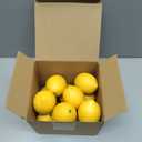 Dallisten 12PCS Artificial Lemons Lifelike Fake Yellow Lemons for Kitchen Decor, Fruit Bowl, Lemonade Party, Photo Props & Summer Table Decorations Realistic Faux Fruit for Home & Events