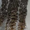 14 inch Deep Faux Locs Crochet Hair 8 Pack Soft Locs Crochet Braids with Curly Ends Goddess Locs Crochet Hair Black Women Natural Wave Braids Synthetic Hair Extensions 1b/30/27