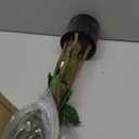 Nearly Natural 6ft. Artificial Grand Olive Tree in White Decorative Planter