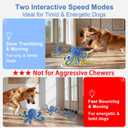 Interactive Dog Toys Octopus,Durable Automatic Jumping Dog Toy to Keep Them Busy,Squeaky Moving Tug of War Doggie Toy,USB Rechargeable,Not for Aggressive Chewers (Blue)