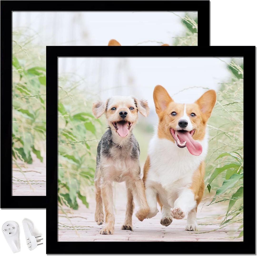 16x16 Picture Frame Set of 2, Black Square Photo Frames High Transparent Wall Gallery Desktop Horizontal Vertical for Canvas Collage Photo Poster Certificate 16 x 16 inches