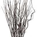 FeiLix 10PCS Lifelike Curly Willow Branches Decorative Dried Artificial Twigs, 30.7 Inches Fake Bendable Sticks Vintage Vines/Stems DIY Greenery Plants Craft Vases Home Garden Hotel Farmhouse Decor