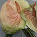 8pcs Artificial Anthurium Flower Branch 60cm 3D Printing Effect Faux Real Touch Single Stem per Piece Anthurium for Home Table Floral Decoration (chamapgne with Ligth Green)