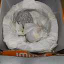 IMUSA USA Granite Molcajete Spice Grinder 6-Inch, Gray