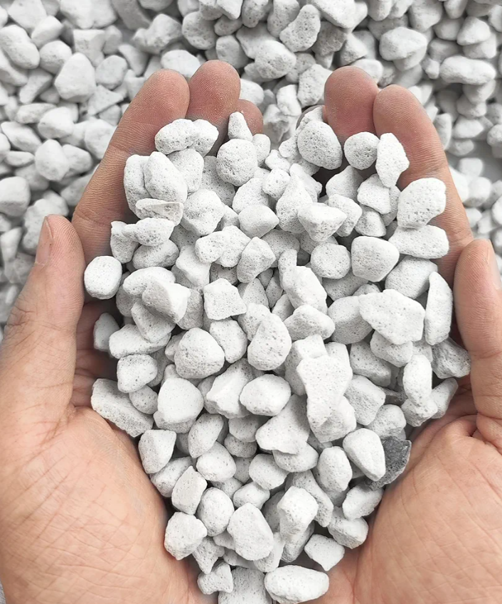 10QT Organic Perlite Horticultural Soil Amendment for Plants and Enhanced Drainage Enhanced