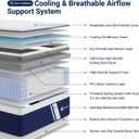 Avenco SyncDeep Twin Mattress 10 Inch, Firm Hybrid Cooling, Lumbar Support