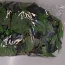 Mizii 3 Packs Artificial Vines Garland 42'' Fake Ficus Vine Greenery Garland Silk Green Leaves Decoration Faux Hanging Plants for Wedding Table Centerpieces Wall Room Decor (42in)