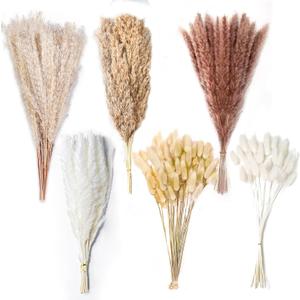 170PCS Natural Dried Pampas Grass Decor - 17" Fluffy Pampas Grass Bouquet - Boho Home Decor Dried Flowers for Wedding Floral Room Home Party Table Decorations