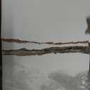 HUANUO Electric Standing Desk, 48" x 24" Whole Piece Desktop, Adjustable Height Computer Desk, 4 Height Memory Settings, Sit Stand Up Desk for Home Office, White