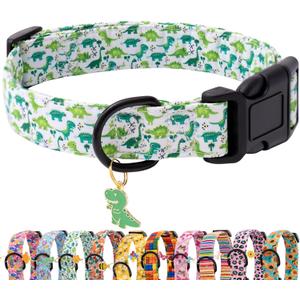 Faygarsle Dog Collar for Small Medium Large Dogs Cute Green Puppy Collars for Male Dogs Dinosaur Patterned Pet Collars for Summer Spring Wedding Puppy Boy Dog Collar XS