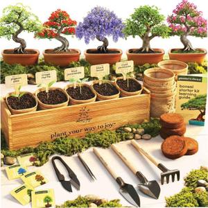 Planter's Choice Bonsai Tree Starter Kit - Mothers Day Gifts for Women, Men - Birthday Gifts for Adults - Indoor Live House Plants - DIY for Adults Craft Kits - Unique Hobby Gift Gardening Lovers