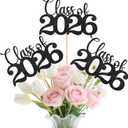 2 x Class of 2026 Decorations, 20Pcs Black Double-Sided Graduation Centerpieces for Tables 2026, Graduation Table Decorations with Sticks & Glue Dots