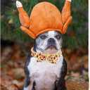 Dog Collar Thanksgiving Day Holiday Turkey Print Pet Collar Soft Cute Dog Collars with Bow Tie Adjustable Metal Buckle Collar Giftfor Medium Dogs (Medium (Pack of 1))