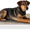 Elevated Dog Bed - Raised Pet Cot for Large Dogs, Portable Indoor & Outdoor Dog cot Bed, Soft and Comfortable, Pet Bed for Camping or Beach, XL