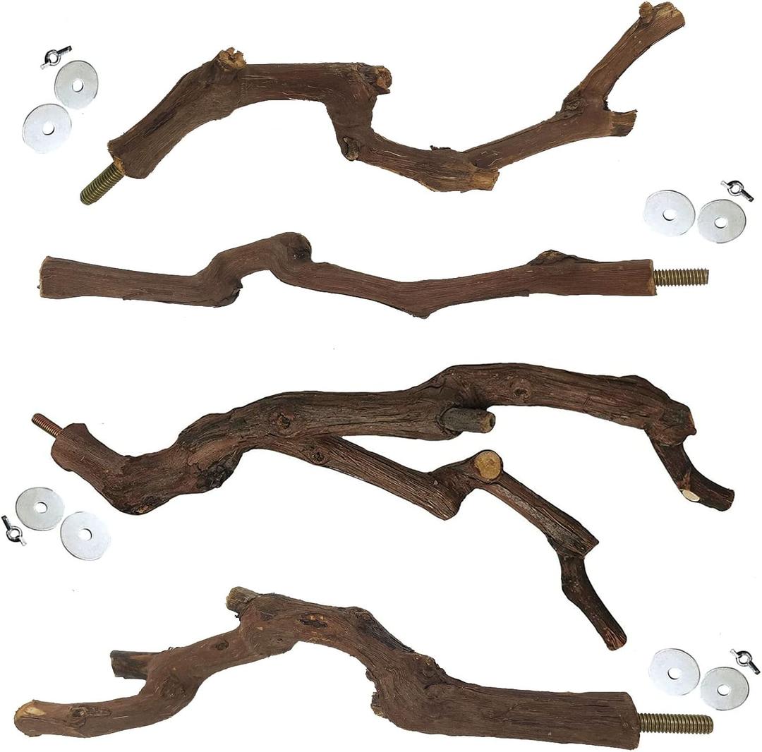 Kathson Natural Parrot Perch Bird Stand Pole Wild Grape Stick Paw Grinding Fork Parakeet Climbing Standing Branches Toy Chewable Cage Accessories for Small Budgies Cockatiels Lovebirds 4PCS