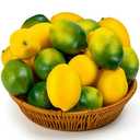 CLESDF 30 Pcs Fake Lemon, Artificial Lemons Faux Fruits Green and Yellow Lemon, Simulation Fruit for Lemonade Party Fruit Bowl Home Kitchen Photography Props