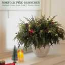 20-Piece Set 24" Artificial Norfolk Pine Branches - Christmas Decorations - Faux Christmas Greenary - Faux Norfolk Pine Stems for DIY Crafts Garland Wreath Home Decor- Free LED String Lights
