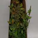 4Pcs Artificial Greenery Stems, 43.3" Nandina Branches Tall Faux Plant Stems for Vase, Greenery Decor Stems Leaves Bunches for Shop Garden Office Home Dcor,Orange