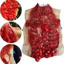Halloween Body Parts Costume Bloody Intestine Torso Chest Fake Dead Body Scary Zombie Halloween Decorations Props