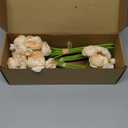 Floroom Ranunculus Artificial Flowers 18 Pcs Champagne Faux Silk Mini Ranunculus Bulk Fake Wedding Filler Flowers for DIY Cream Bouquets, Centerpieces, Bridal Shower Decorations & Arrangements