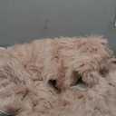 Goolela Pink Shag Rug, 2x6 Faux Fur Washable Runner for Bedroom, Living Room, Dorm (2X6 FT Sheepskin)