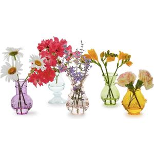 Two's Company Verre Hand-Blown Bud Vases, Glass, Set of 5
