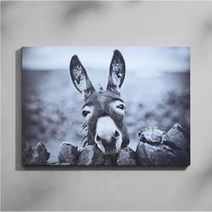 HSFFBHFBH Charming Black and White Donkey Canvas Wall Art | Funny Farm Animal Print for Rustic Home Decor Artwork | Waterproof Bathroom Picture Decor | Ready to Hang 12x16inch