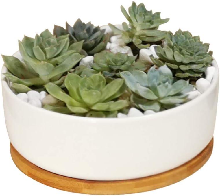 LANKER 6.3 Inch Round White Ceramic Succulent Planter Pot Decorative Cactus Plant Pot Flower Container with Bamboo Tray (Round 6.3Inch)