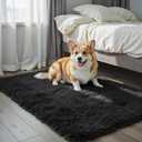 Small Area Rugs 2x3 Feet, Black Rug for Bedroom Dorm, Modern Shag Bedroom Mat, Small Carpet, Fluffy Bedside Rug for Girls Dorm Room Home Decor(2 x 3, Black)