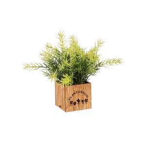 Bambeco LED Wood Box