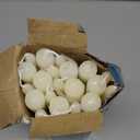 20 Pack Ivory Taper Candles 12 Inch Tall 3/4 Inch Thick Burn 10 Hours