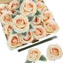 IPOPU 16pcs Champagne Velvet Rose Artificial Flowers 3.93" Large Fake Rose Bulk Real Touch Silk Flowers for DIY Wedding Bouquet Floral Arrangement Home Party Garden Decorations (Champagne)